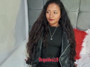Orquidea18