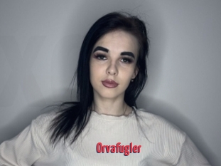 Orvafugler