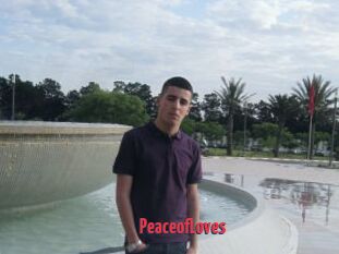 PeaceofLoves