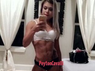Peyton_Cavalli