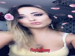 PlayBoyBunny
