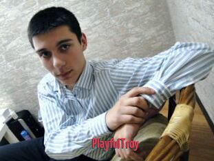 PlayfulTroy