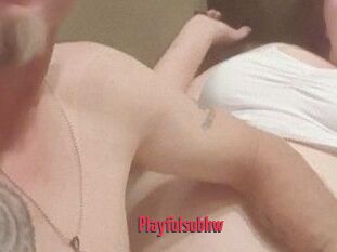 Playfulsubhw