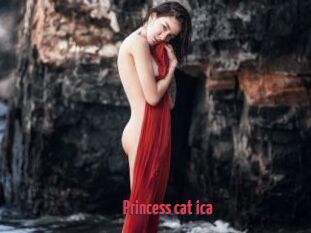 Princess_cat_ica