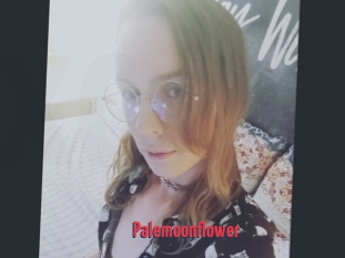 Palemoonflower