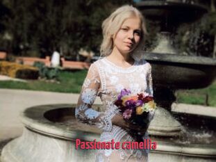Passionate_camellia