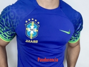 Paudurencia