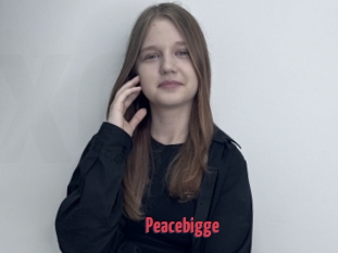 Peacebigge