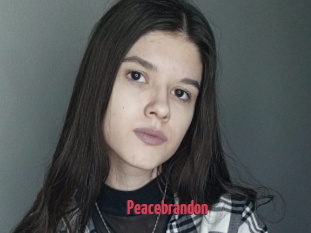 Peacebrandon