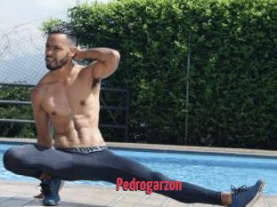 Pedrogarzon