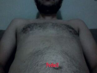 Pedwil