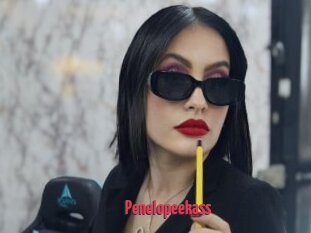 Penelopeekass