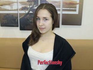 Perfectionsky