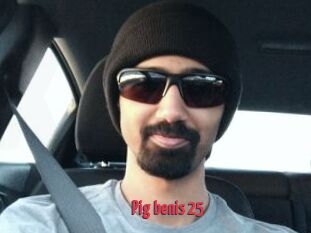 Pig_benis_25
