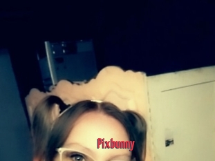 Pixbunny