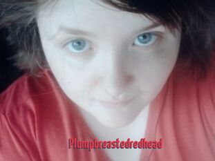 Plumpbreastedredhead