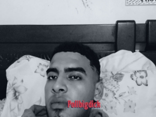 Pollbigdick