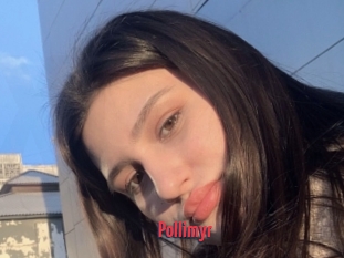 Pollimyr