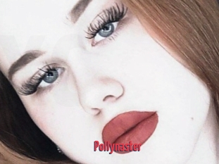 Pollynaster