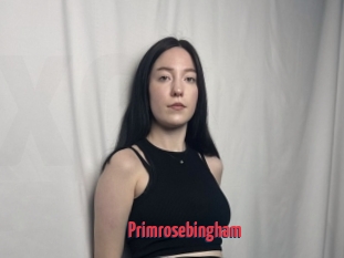 Primrosebingham