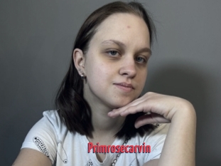 Primrosecarvin