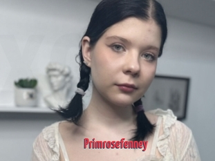 Primrosefenney