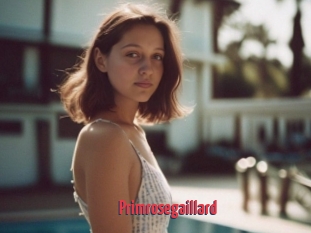 Primrosegaillard