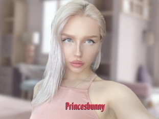 Princesbunny