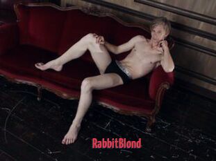 RabbitBlond