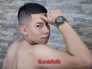 RicardoMalik