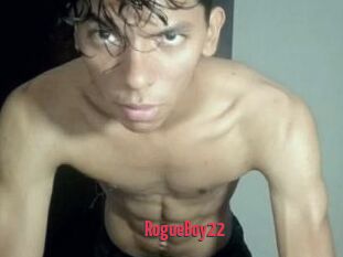 RogueBoy22