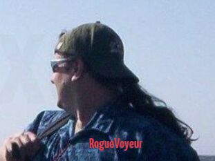 RogueVoyeur