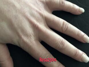Rosa2904