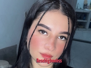 Rosebigboobss