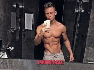 SANDRO_MUSCLE