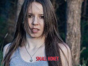 SMALL_HONEY