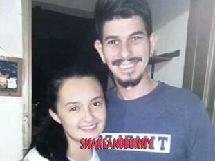 SNAKEANDBUNNY