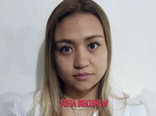SOFIA_BIGCUMLW