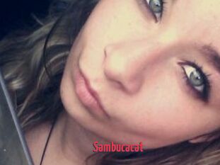 Sambucacat