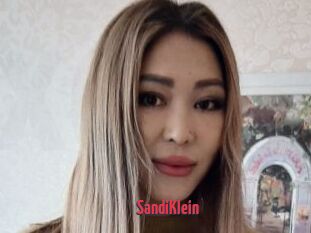 SandiKlein