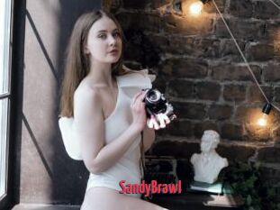 SandyBrawl
