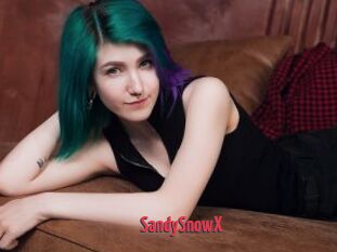 SandySnowX