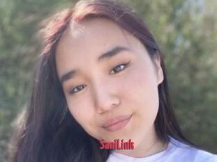 SaniLink