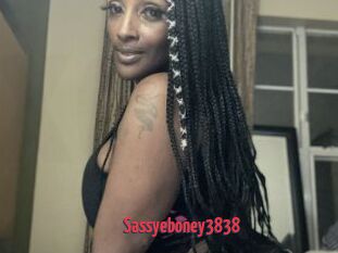 Sassyeboney3838