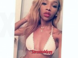 Savannah_Grey