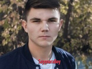 SayonaraBoy