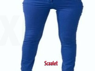 Scaalet