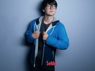 Sekki