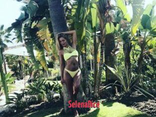 SelenaDice