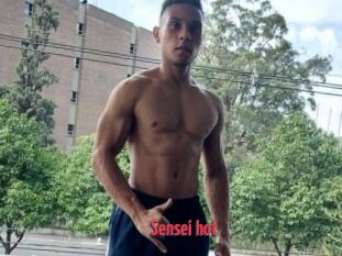 Sensei_hot